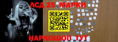молекула духа Будённовск