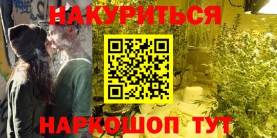 молекула духа Будённовск
