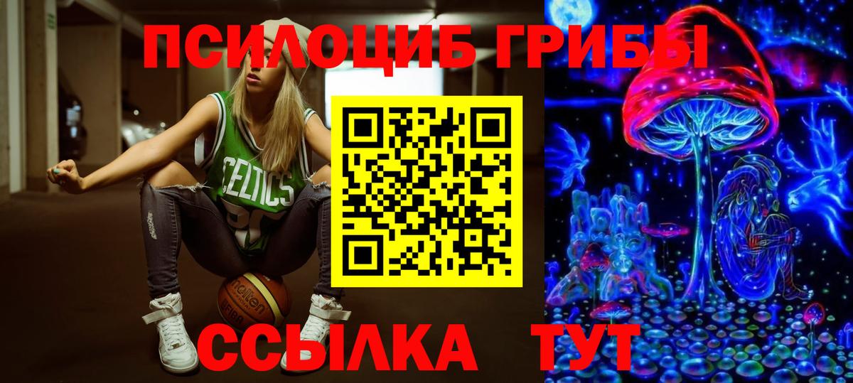 магазин продажи наркотиков  Вход с VPN  Малоярославец  Псилоцибиновые грибы мицелий  Псилоцибиновые грибы ЛСД 