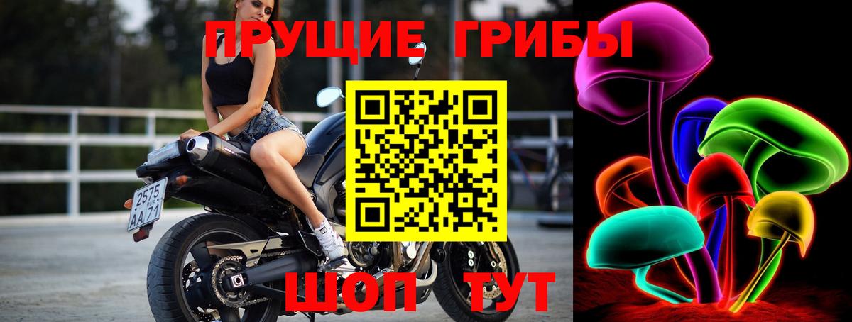 Псилоцибиновые грибы GOLDEN TEACHER Малоярославец